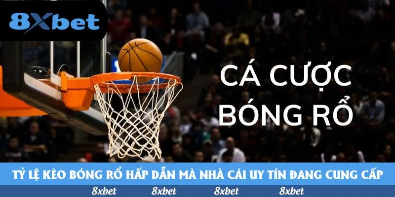 RAD Casino - so sánh 188bet RAD Casino - so sánh 188bet