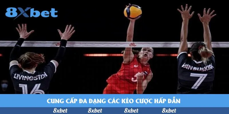 RAD Casino - trang chủ bk8 RAD Casino - trang chủ bk8